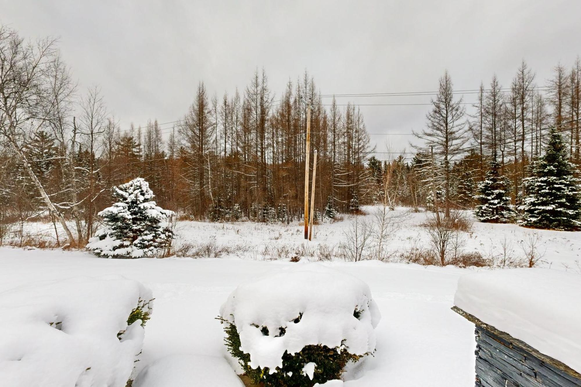 Twin View Log Home Carroll Exteriér fotografie